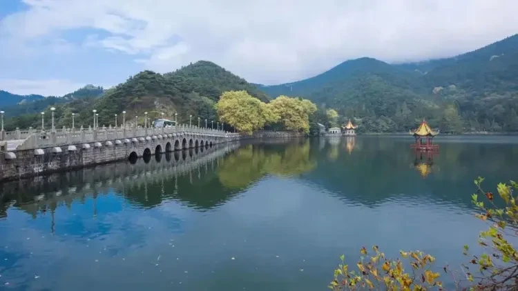 c3ec13deccd0b50324863830b250a248-sz_83679