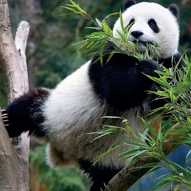 c411448e518367aada0c2f95ce1ec3e9-sz_411419-1 c411448e518367aada0c2f95ce1ec3e9-sz_411419-1