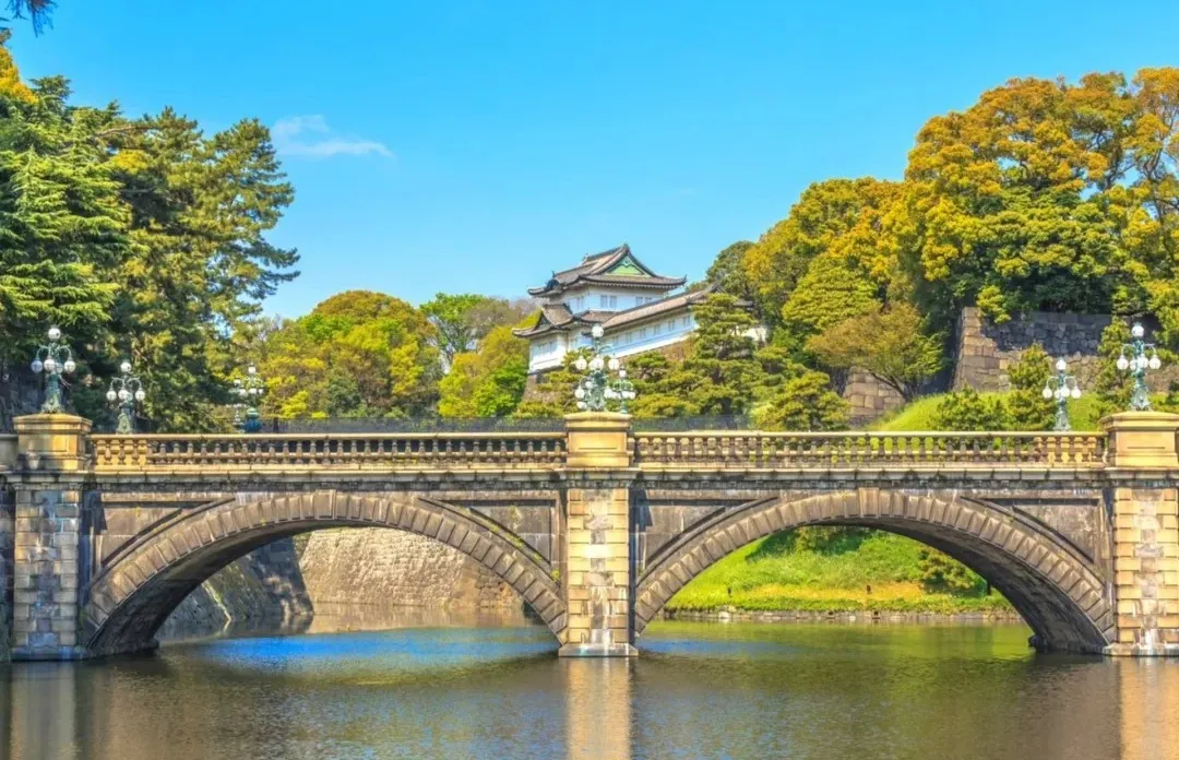 c478994dba43fab6f3b1cbba8df967f8-sz_440786