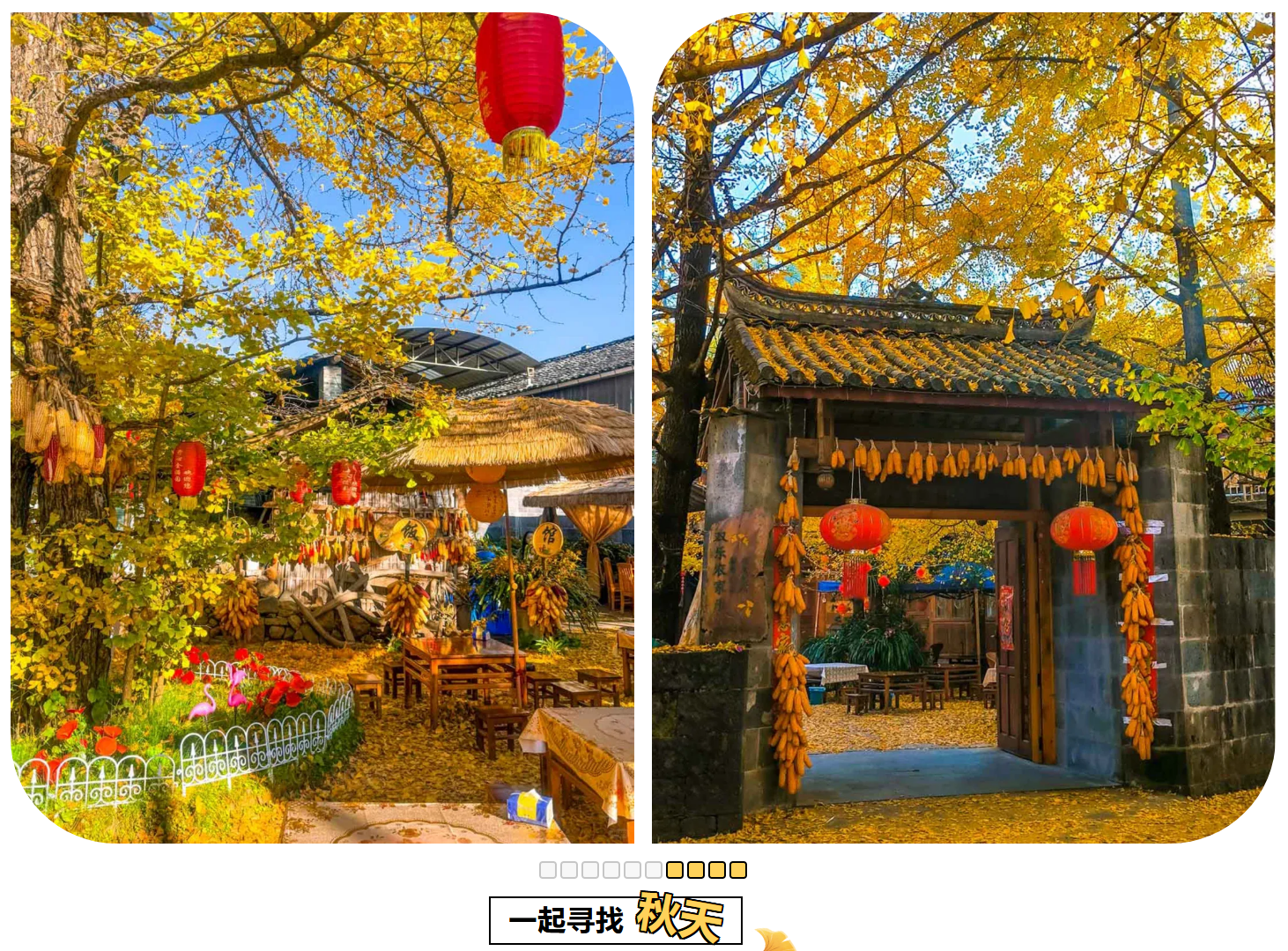 c505a93c78d3981b08a5f12baaea66be c505a93c78d3981b08a5f12baaea66be