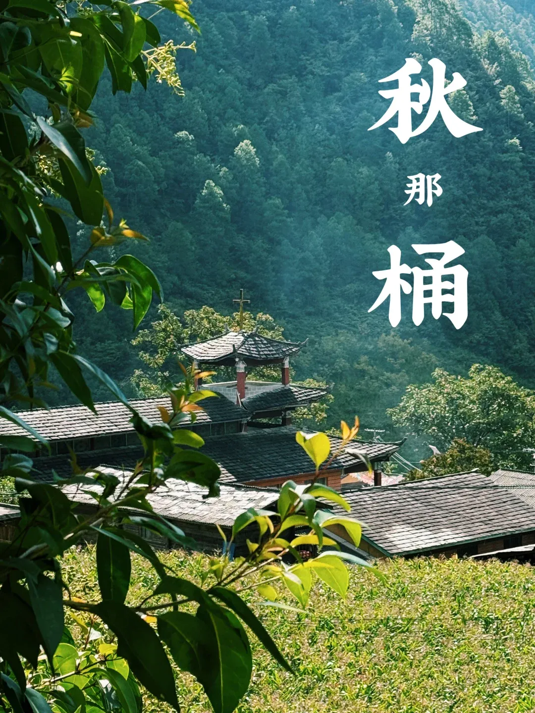 c54dfdeb59a08eaa0869a9f371186ef8-sz_3552788-1