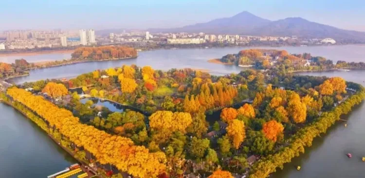 c5c60384b0d389072528249e0c33bbfa-sz_99795 c5c60384b0d389072528249e0c33bbfa-sz_99795