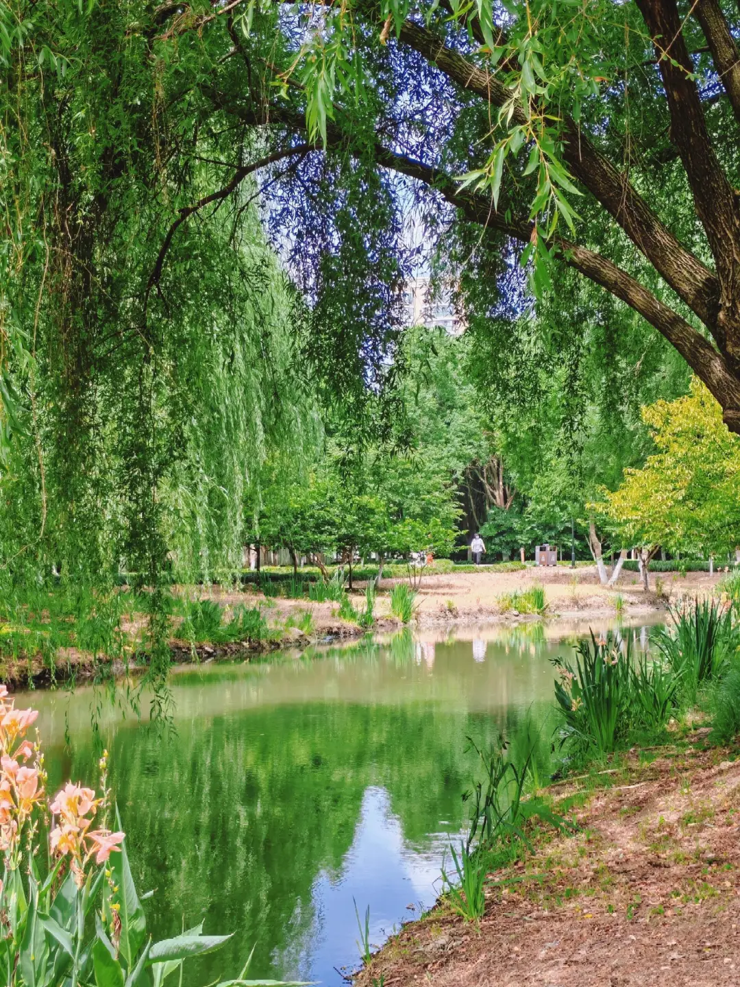 c629accd603ec4875ba6e549f9c1fd2b-sz_1336751 c629accd603ec4875ba6e549f9c1fd2b-sz_1336751