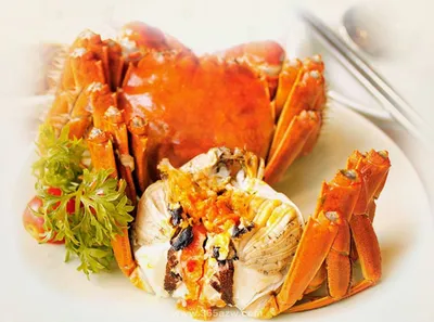 c63c54622fbbcdf4a6e06027410cde8e-sz_226087