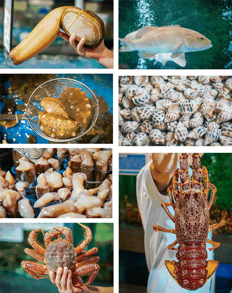 c70d63e5ee8f0c417d0cefea88f3b81a-sz_1076223 c70d63e5ee8f0c417d0cefea88f3b81a-sz_1076223