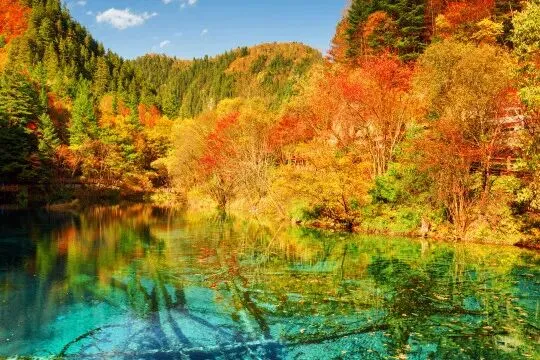 c787ae652d1d25af69561fe3f4f9c9f2-sz_68913 c787ae652d1d25af69561fe3f4f9c9f2-sz_68913