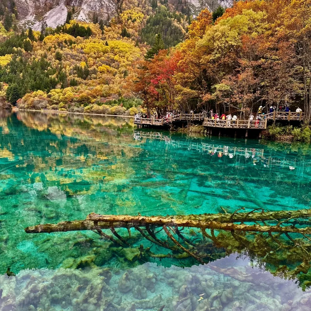 c7d1d9289d71b6a802471e32be156084-sz_782835-1 c7d1d9289d71b6a802471e32be156084-sz_782835-1