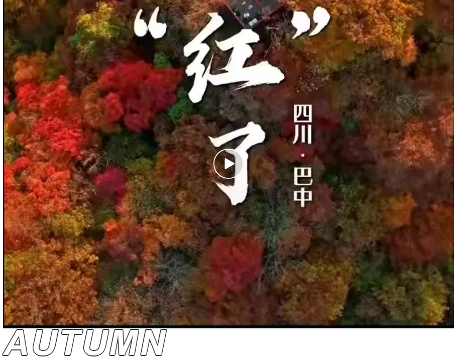 c8215c683733db3e628addf713dd756a