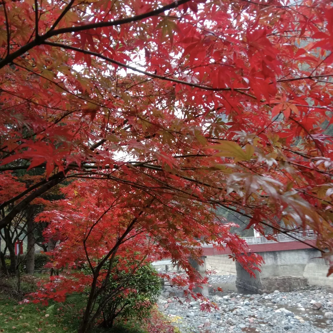 c82ec8755ff787d44ffbb2d3ddf46273-sz_4090590