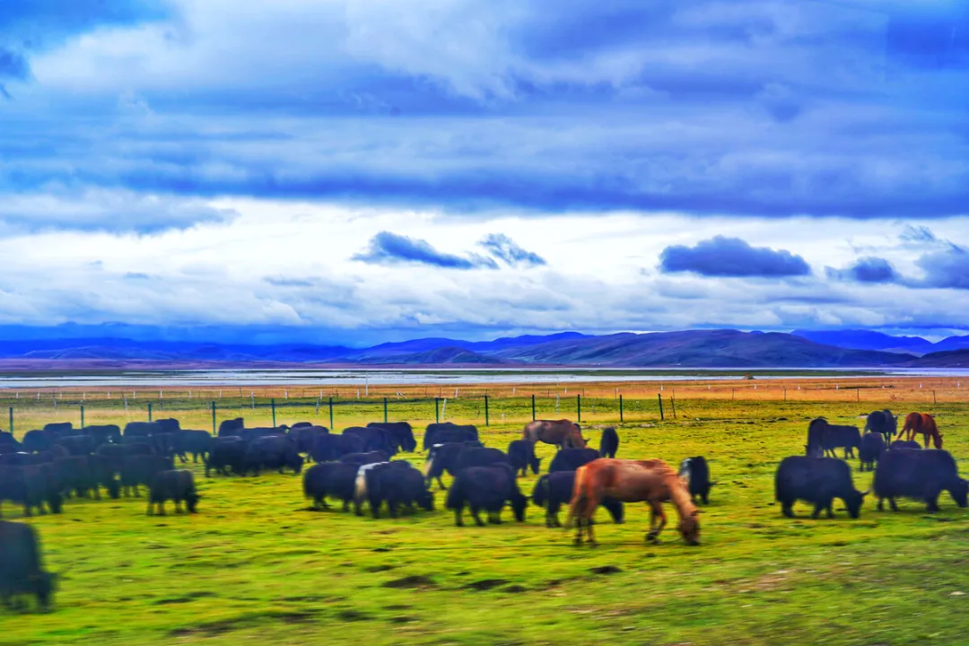 c879e09e0724fdddccadda9021a4e815-sz_303509 c879e09e0724fdddccadda9021a4e815-sz_303509