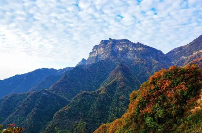 c87c2ecc48343ab61b2517e00745ba93-sz_1072106