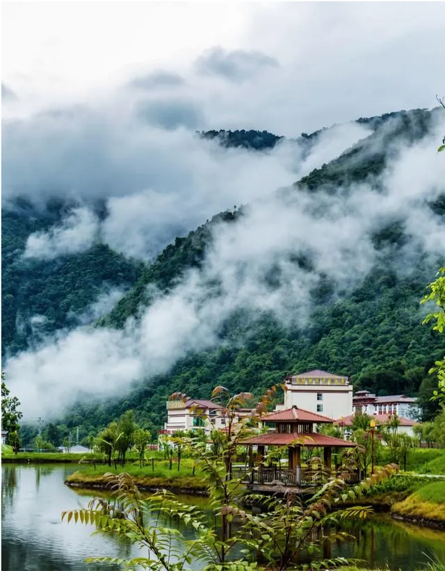 c8aca261c5a2c82ad4f90e723184ee76-sz_775903