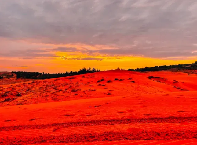 c8d1736fe44344252884fc22beee71b5-sz_504004 c8d1736fe44344252884fc22beee71b5-sz_504004