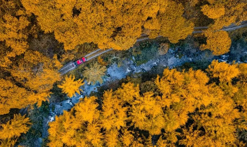 c916d897281825db500fa5b6208cb951-sz_211405