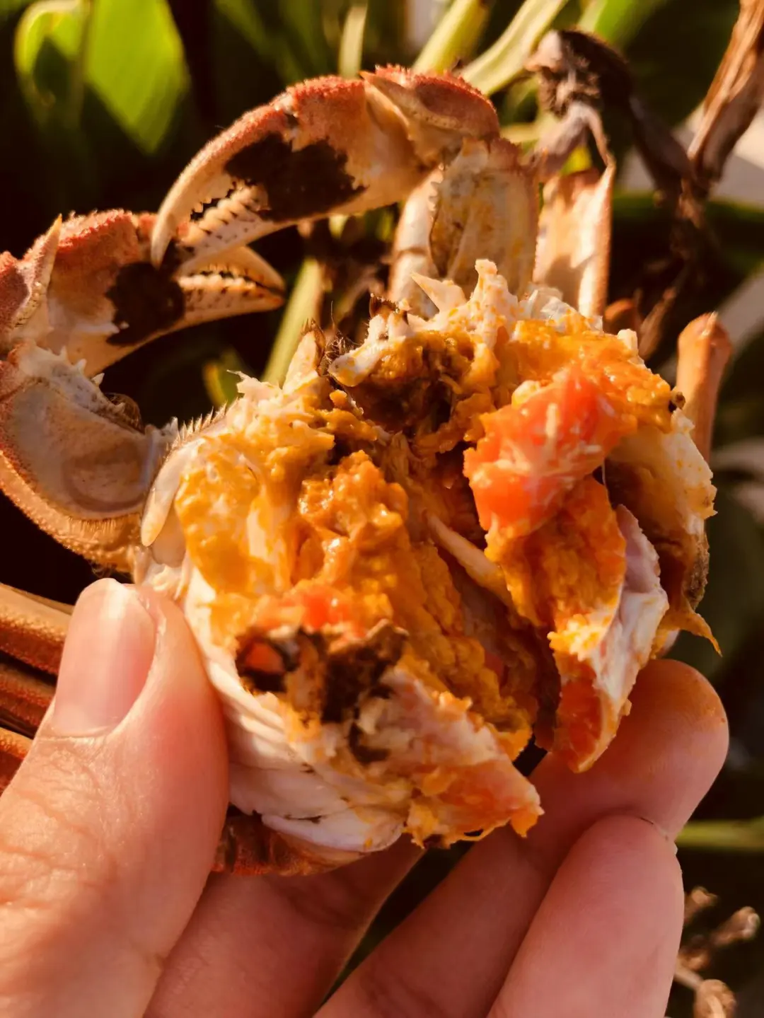 c9506f9af317a65fd6c89f22c7fea4ca-sz_205453