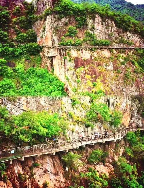 ca0f4e11dcede5436dcb667995f9a46a-sz_1054299