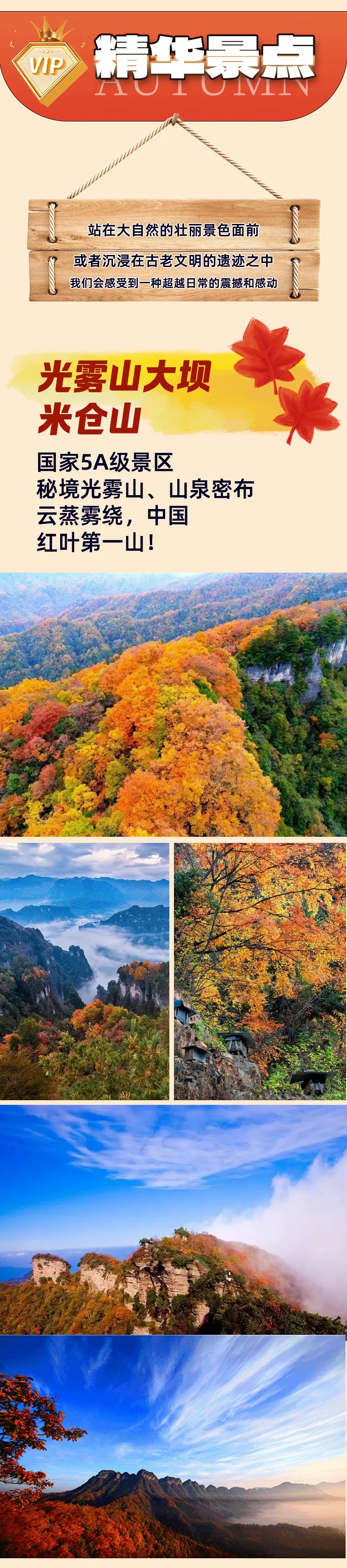 ca2280092e2cf104aff85088ad69fb21-sz_2325037-1