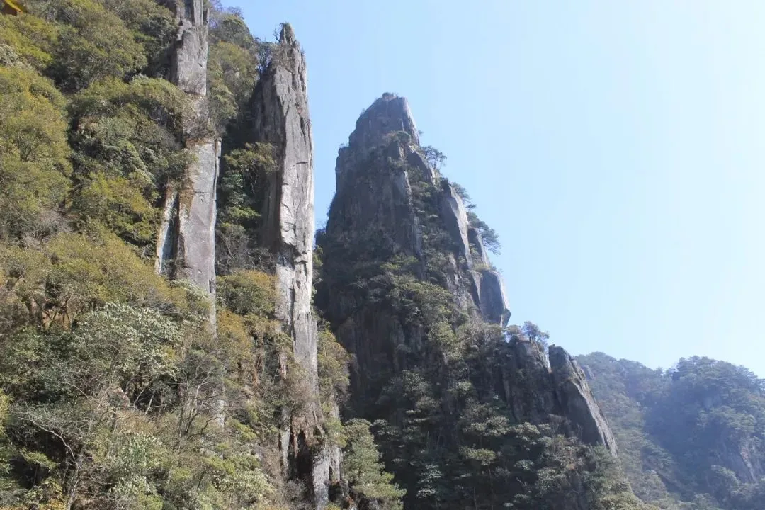 ca3ed69320cb3b998e672dddad58a03a-sz_150282