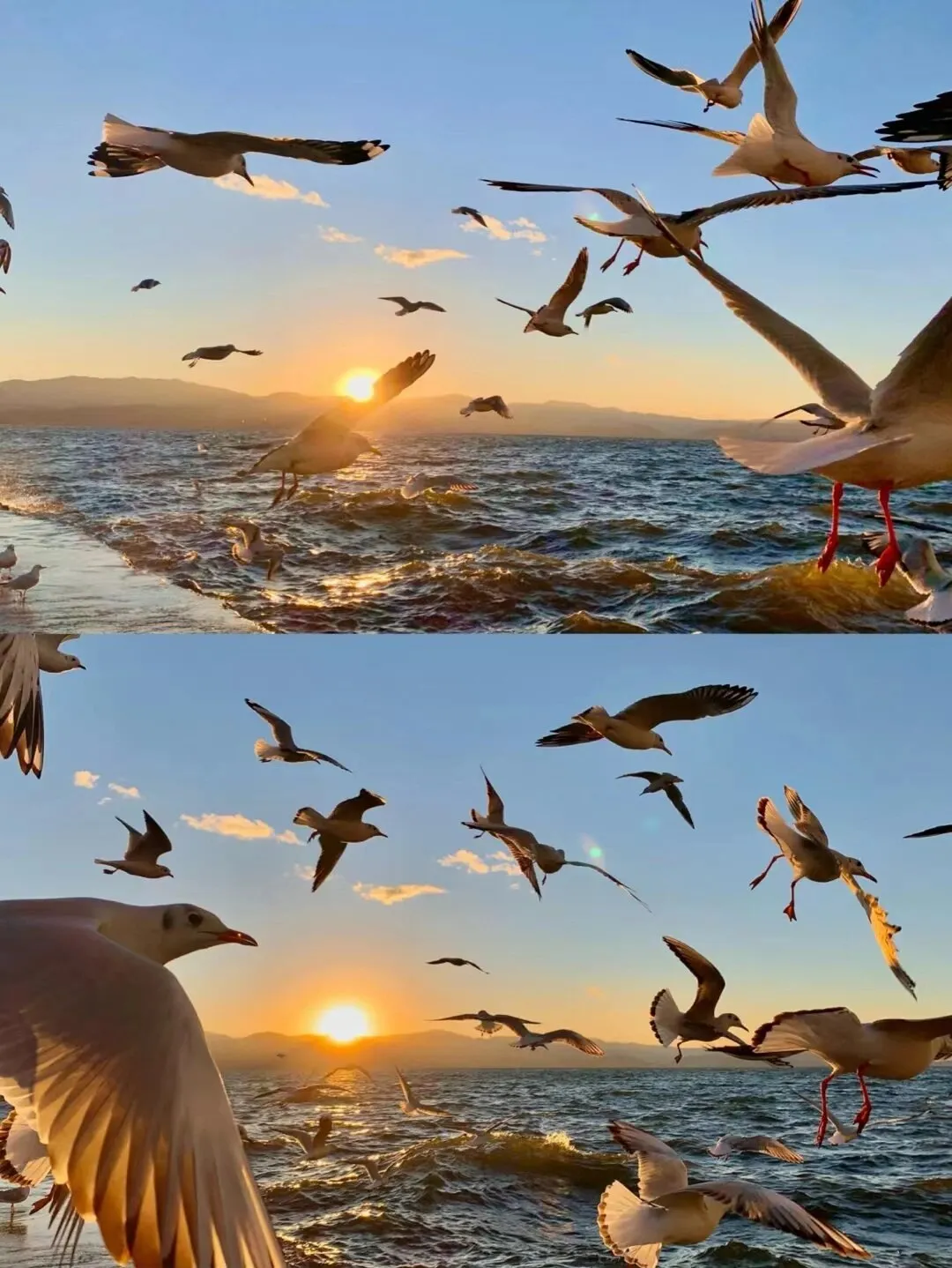 ca56538aa5667461508a3f6a25a9dd15-sz_229235