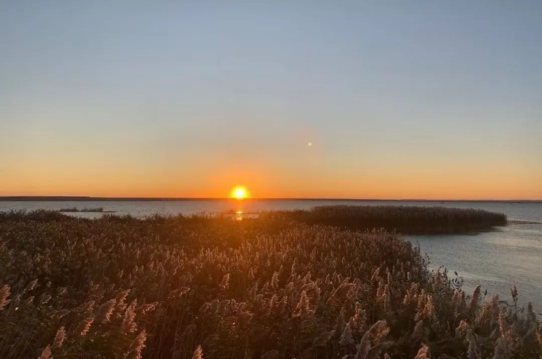 ca6915e22e1998fe58b7066dd6dd4aaf-sz_495218-1 ca6915e22e1998fe58b7066dd6dd4aaf-sz_495218-1