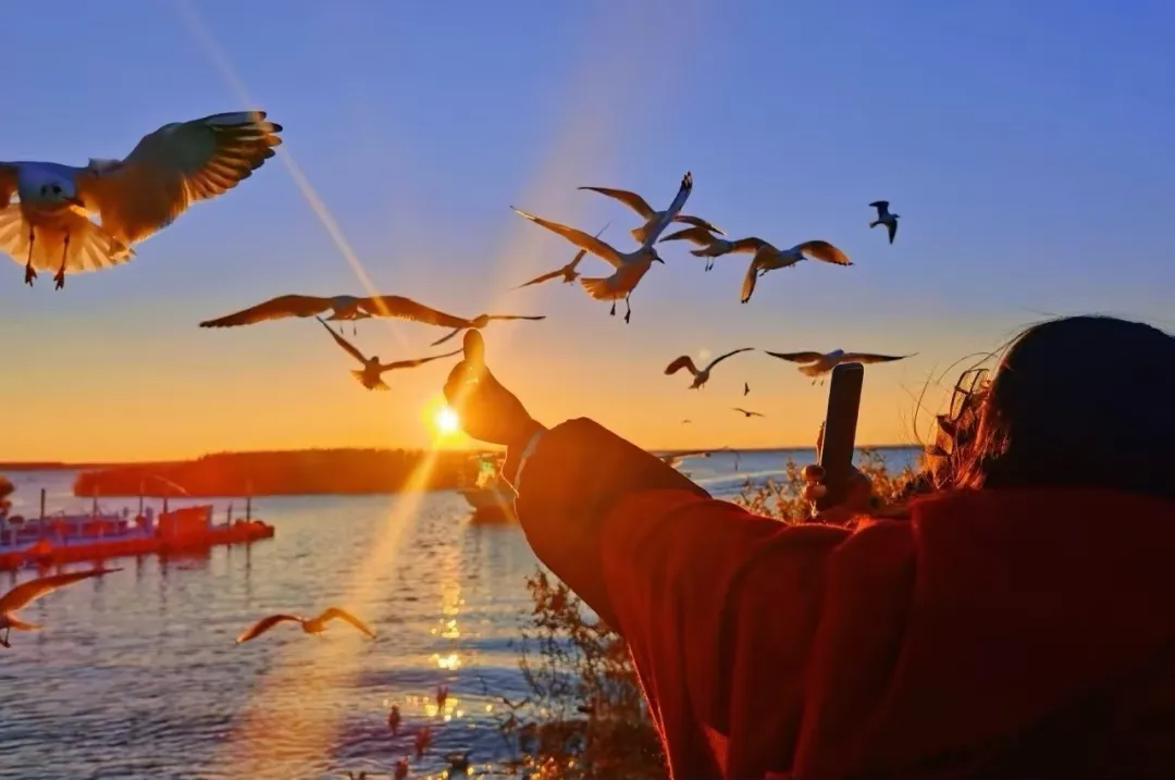 ca6915e22e1998fe58b7066dd6dd4aaf-sz_495218 ca6915e22e1998fe58b7066dd6dd4aaf-sz_495218