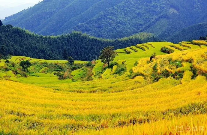 ❤霸道江西❤江西全景❤鄱阳湖湿地❤8名牌+6网红+4夜景❤望仙谷/三清山/婺源/景德镇/鄱阳湖/庐山/南昌~自组纯玩●高卧8天