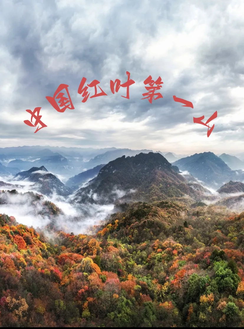 cb3a9d90c9a775c8db19d8b6fb0a4ebb-sz_1005233