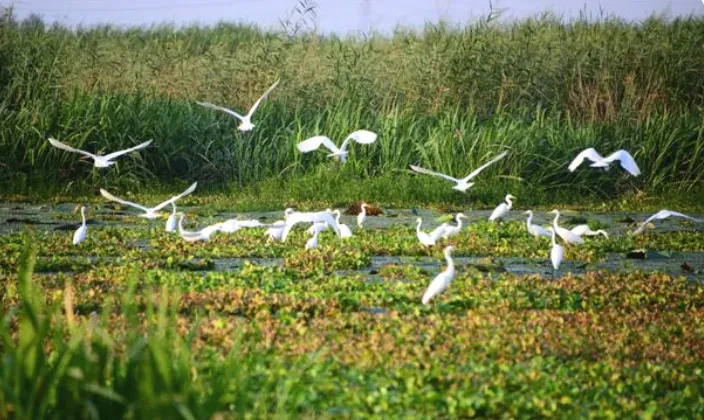 cba539b4d51b218a709395f10bd7f9e3-sz_649269-2 cba539b4d51b218a709395f10bd7f9e3-sz_649269-2