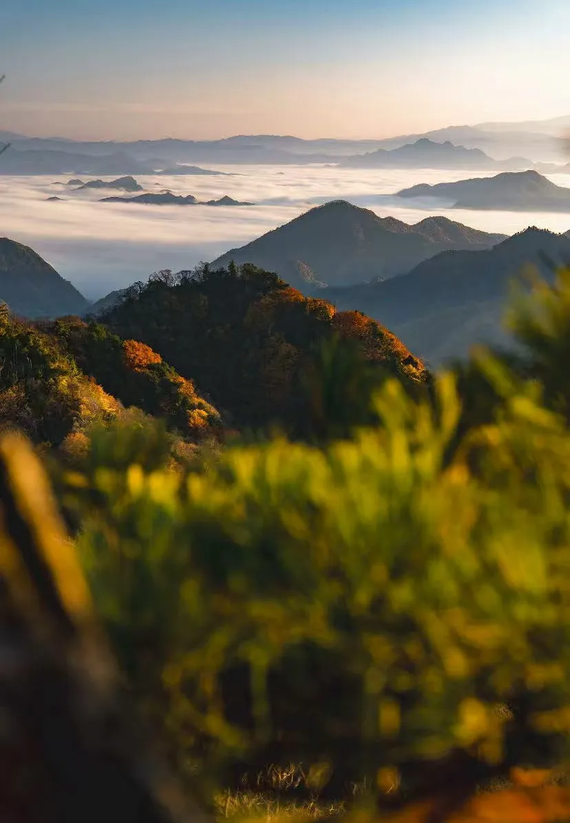 cba6c49889fc77e73958b2eda1c6cec8-sz_1602651