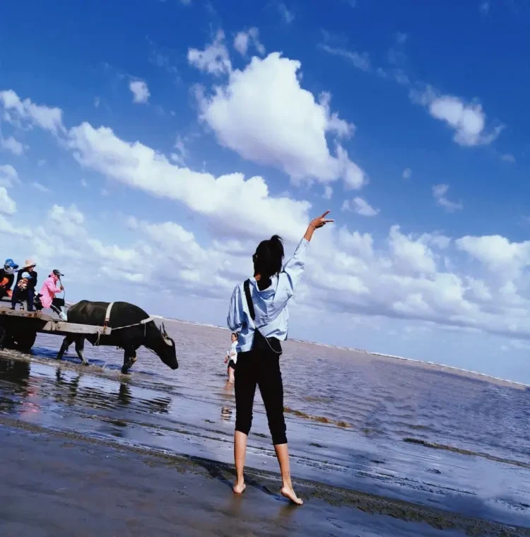 cbfb284b190352f992f551ecb6424c10-sz_153467-1 cbfb284b190352f992f551ecb6424c10-sz_153467-1