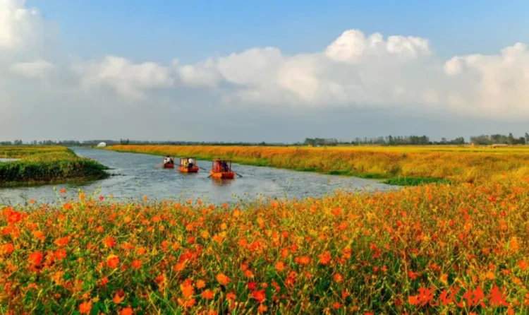 cc41d06e09267908631802f71ee69a33-sz_1185483