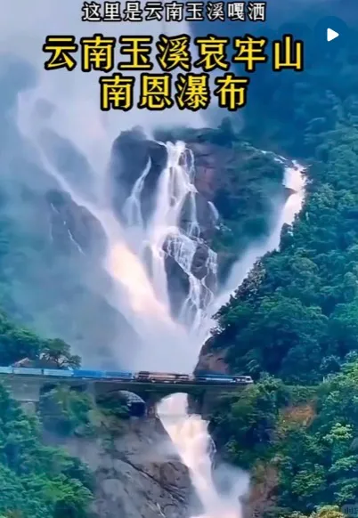 cc8f588215ae5dde7d7bd5ac9c7230f0-sz_439715