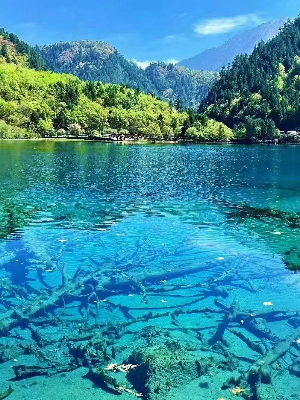 cca090863b293e477b835c82842e3c6b-sz_1173328 cca090863b293e477b835c82842e3c6b-sz_1173328