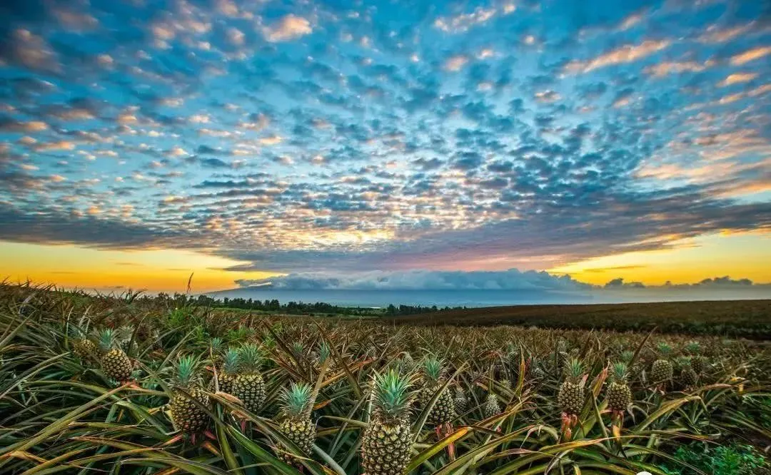 ccf13c0bb8a61a97c12cef82568b1bab-sz_174607