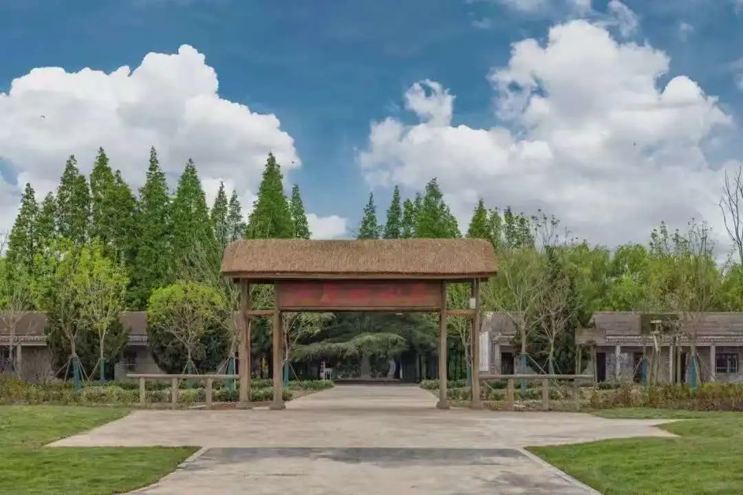 cd15e68de1480f7802d13cd562c64861-sz_81240