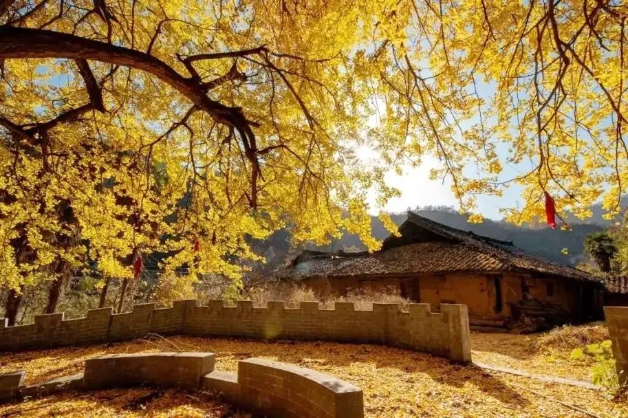 cd288c3f875ef5f733c457f0452d0b47-sz_182983