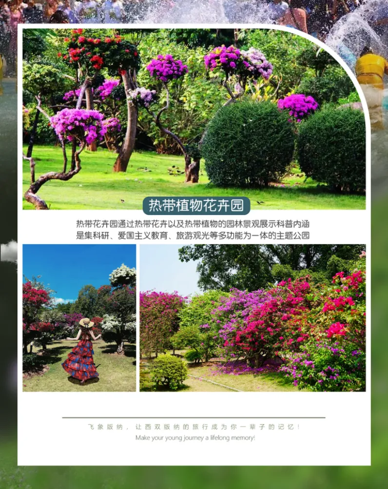 cd4127a7f8a126b9db217fdd621c9c3b-sz_1482927-1