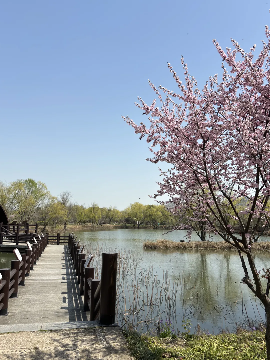 cd7d26787d720309c98f305c427fb3b8-sz_21074018