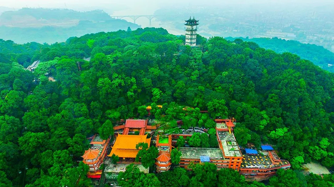 cd91a93392ec917f0af26e2df9048b0a-sz_501963-1