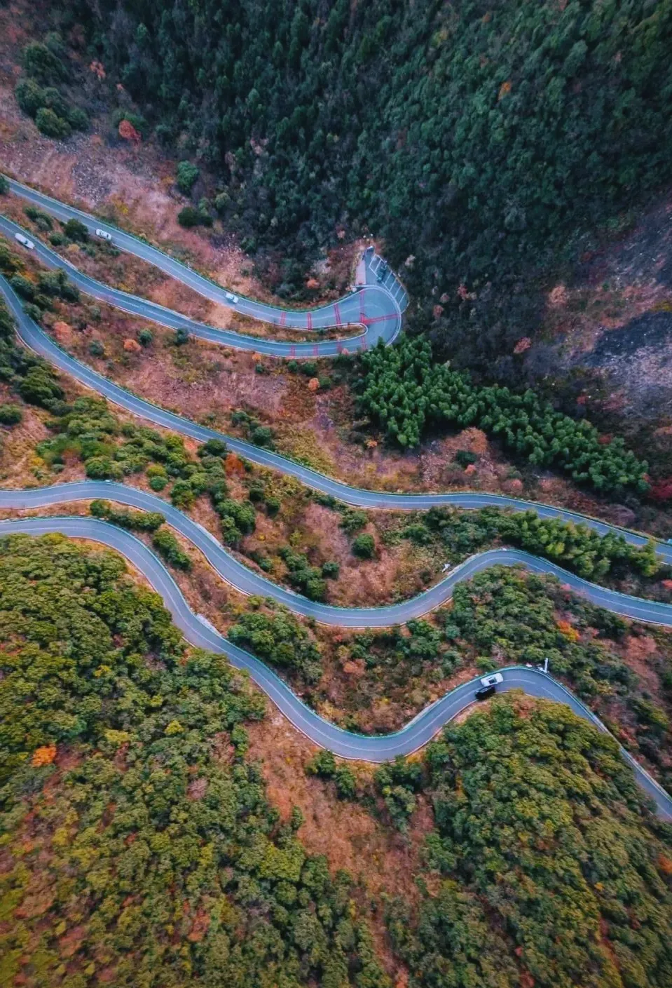 cdcf06c56b96507becf2294a9dcda2ce-sz_2531719 cdcf06c56b96507becf2294a9dcda2ce-sz_2531719