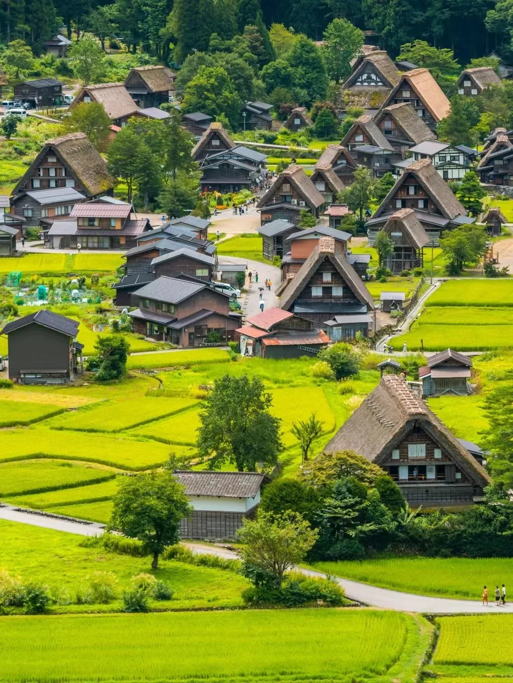 cddb8ed06afe24a6f7fcd309aa33fc8b-sz_564232 cddb8ed06afe24a6f7fcd309aa33fc8b-sz_564232