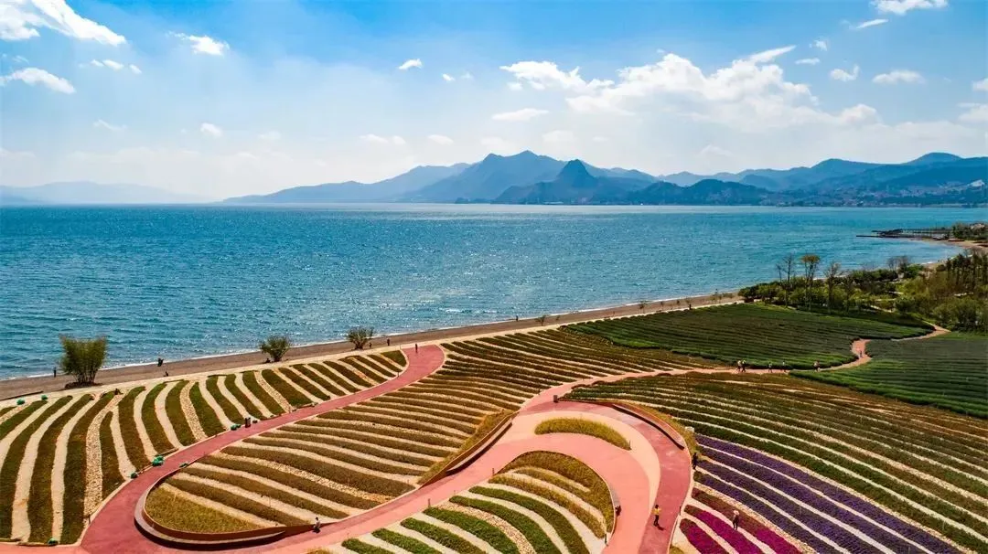 cdf7d9ae0ca7ae0d7c226f0c77c9dae3-sz_141957 cdf7d9ae0ca7ae0d7c226f0c77c9dae3-sz_141957