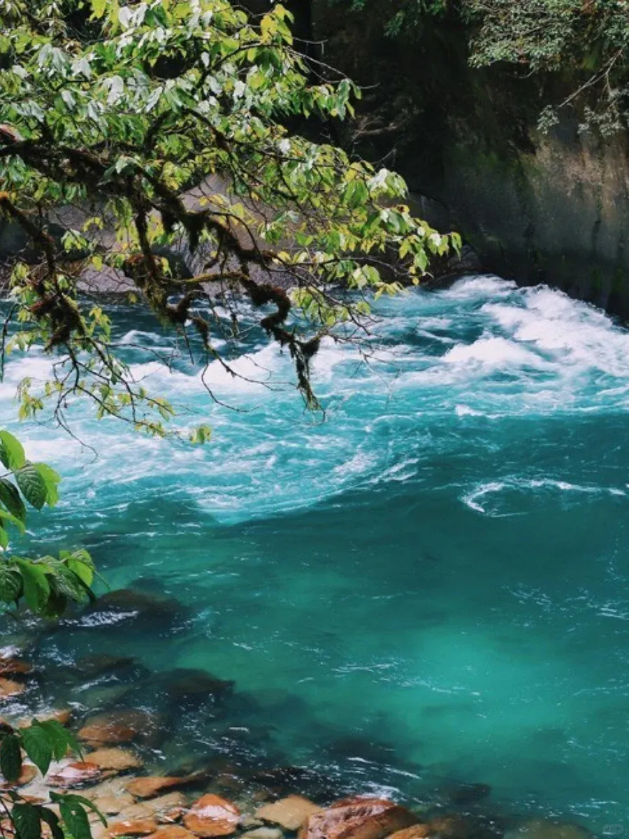 cdfc12015950b52f668a48dc454bcf98-sz_2269466 cdfc12015950b52f668a48dc454bcf98-sz_2269466