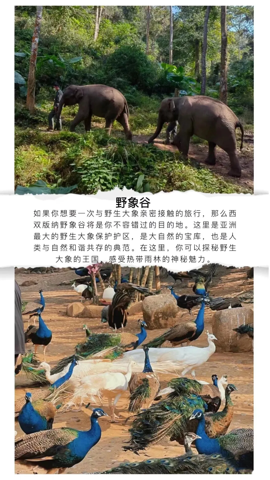 ce84e903757dd0b795a06524315c79ab-sz_1774249 ce84e903757dd0b795a06524315c79ab-sz_1774249