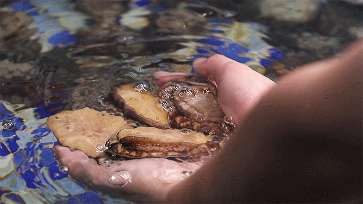 ced9b3136be3bfed4eda8613312e0b13-sz_4204331 ced9b3136be3bfed4eda8613312e0b13-sz_4204331