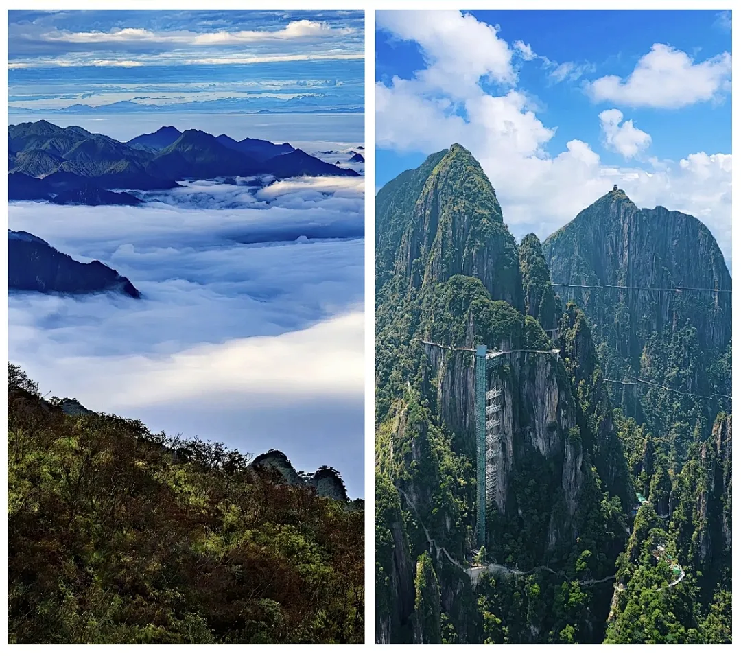 cf44e2357e9ecedd3c7cc0cf1158bb9b-sz_1883619-5 cf44e2357e9ecedd3c7cc0cf1158bb9b-sz_1883619-5