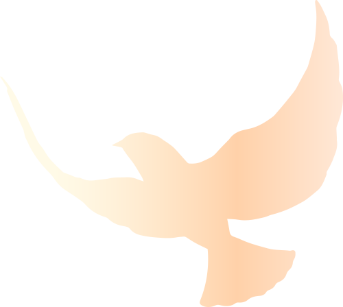 cf639cafa32f2023f78ab9df5f21a27a_sz-26333 cf639cafa32f2023f78ab9df5f21a27a_sz-26333