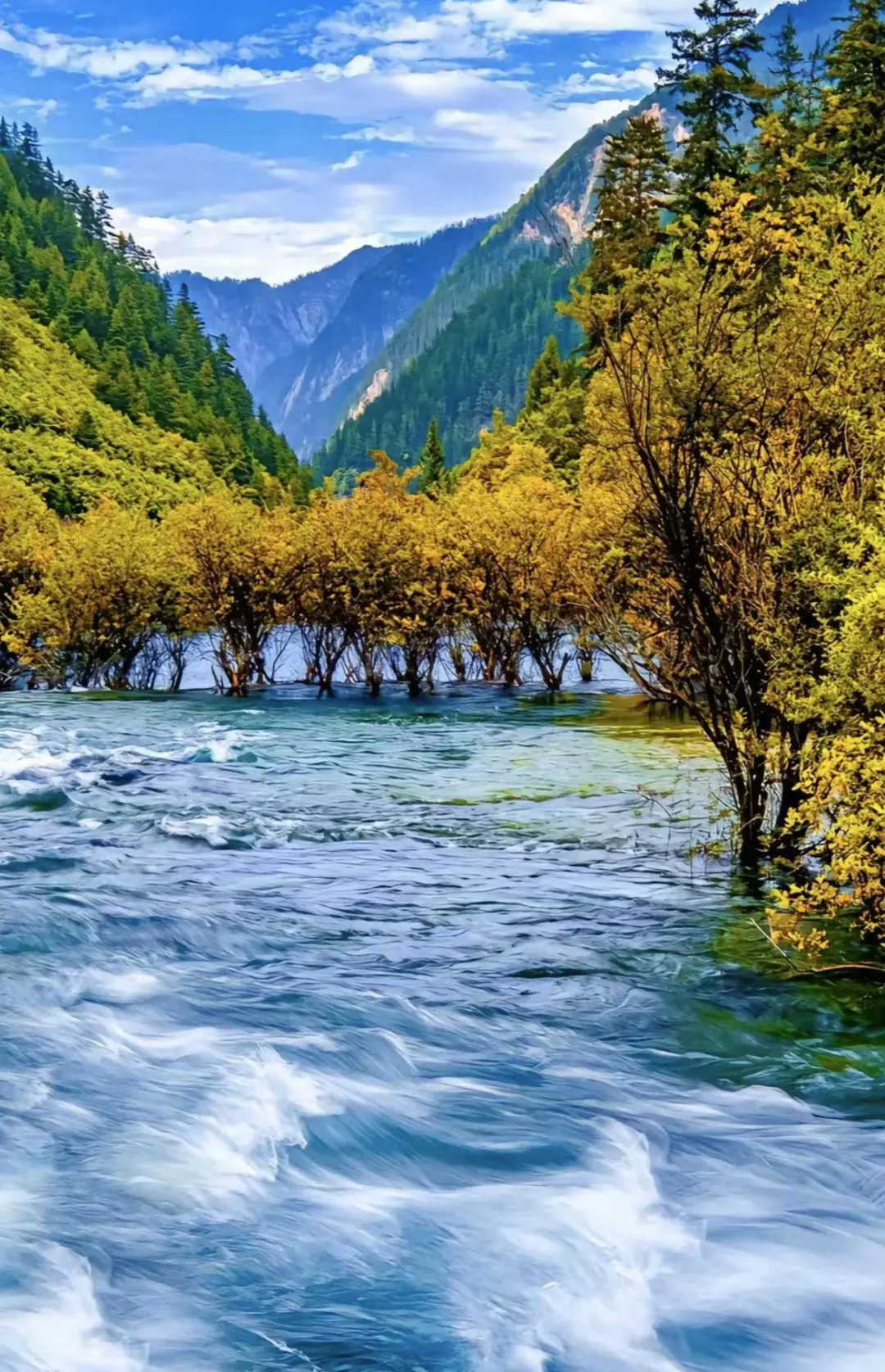 cfc3879383e9eb83a9c7fdc803ea084a-sz_445836 cfc3879383e9eb83a9c7fdc803ea084a-sz_445836