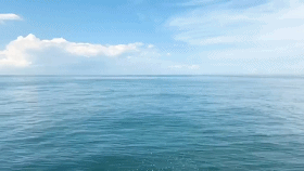 cfd345589c7a19f260a0f7b451ab2b3e-sz_1901747-1 cfd345589c7a19f260a0f7b451ab2b3e-sz_1901747-1