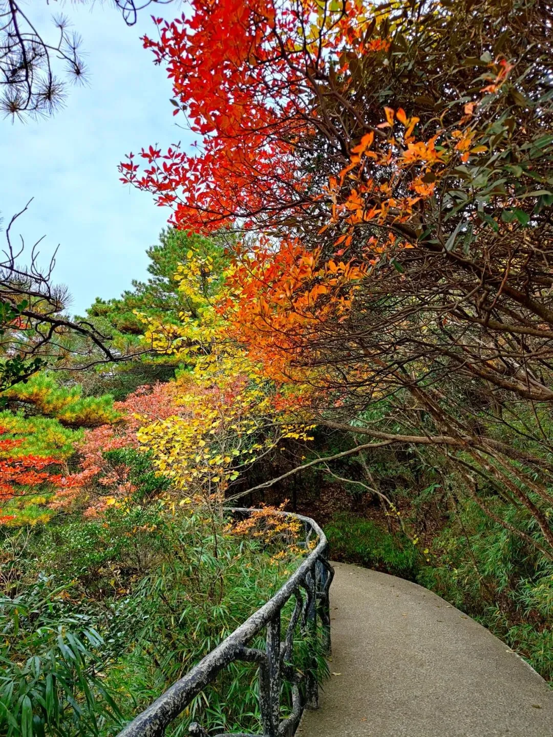 d01081226461778b972bb7b48c8fbcfd-sz_532788-2